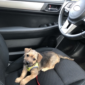 Fundraising Page: Allison Vetter